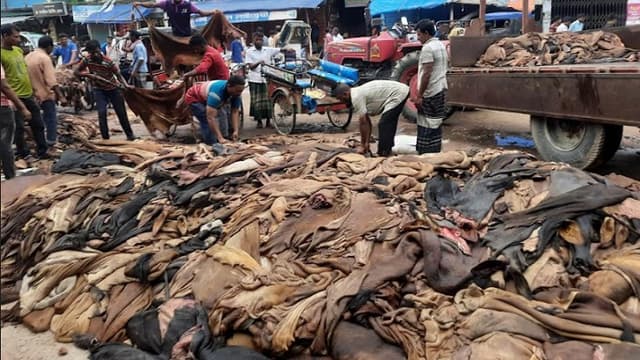 বাজারে ধস, বিপাকে মৌসুমী চামড়া ব্যবসায়ীরা