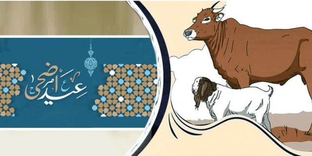 কোরবানি কয়দিন করা যায়?