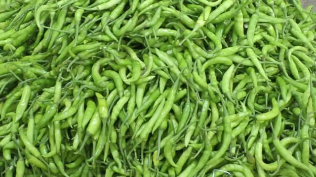 আমদানির খবরে হিলি বন্দরে কমছে কাঁচামরিচের ঝাঁঝ