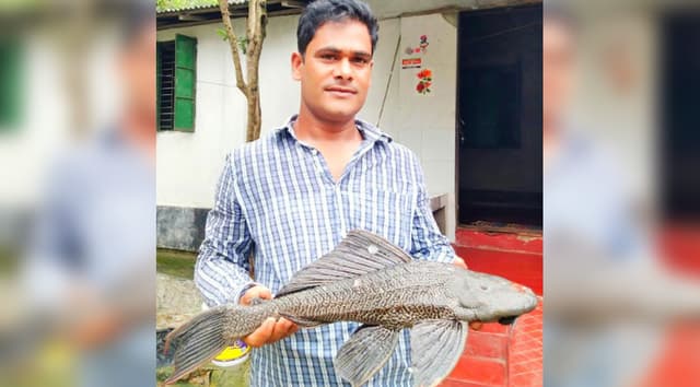 পুকুরে জালে ধরা পড়ল বিরল প্রজাতির মাছ