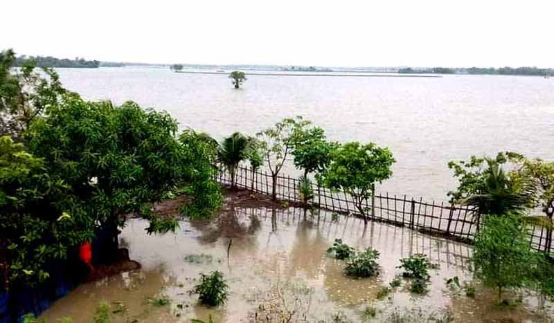আশাশুনিতে টানা বর্ষায় হুমকির মুখে ১০ হাজার বিঘা জমির আমন আবাদ