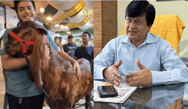 ছাগল-কাণ্ডে বিব্রত সরকারি কর্মকর্তারা, দুর্নীতিবাজরা আছেন ‘ভয়ে’