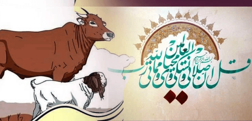 কোরবানি কয়দিন করা যায়?