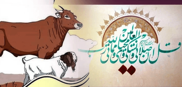 কোরবানি কয়দিন করা যায়?