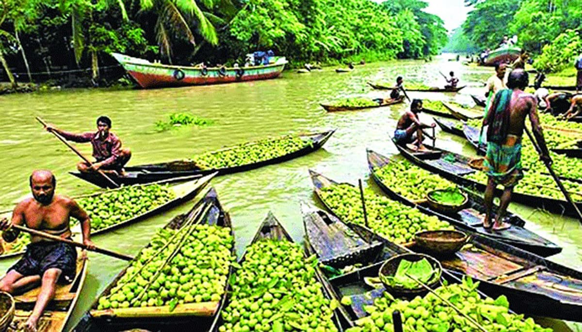 পদ্মা সেতুর সুফল পাবেন কৃষক : দক্ষিণাঞ্চলে কৃষিবিপ্লবের হাতছানি
