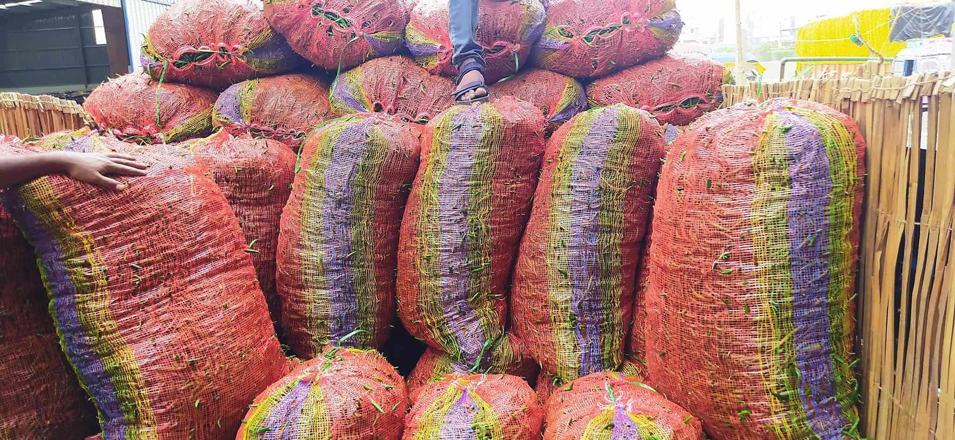 হিলি স্থলবন্দর দিয়ে ভারত থেকে এলো ৩২ টন কাঁচামরিচ