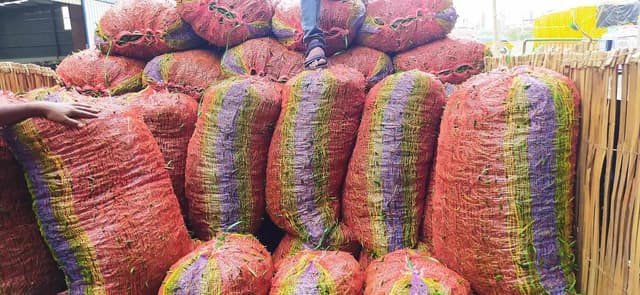 হিলি স্থলবন্দর দিয়ে ভারত থেকে এলো ৩২ টন কাঁচামরিচ