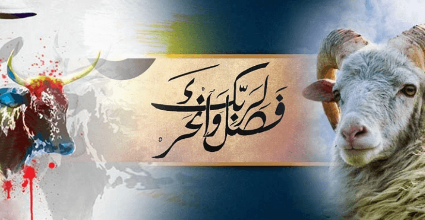 বিশুদ্ধ ও উত্তম কোরবানির জন্য পশু নির্বাচন