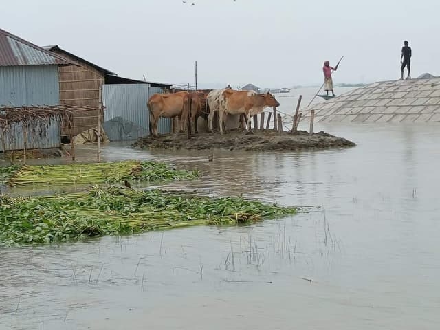 সিরাজগঞ্জের ৫ হাজার মানুষ পানিবন্দি