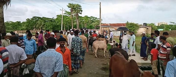 কুয়াকাটায় লকডাউনেও চলছে জমজমাট পশুর হাট