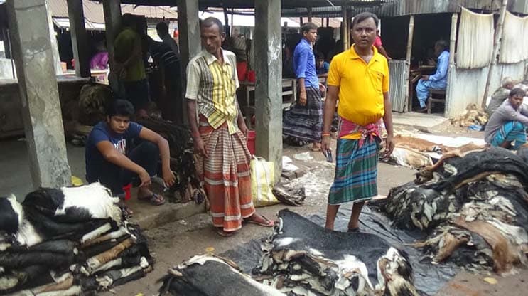 ২০ হাজারের খাসি, চামড়ার দাম ৩০ টাকা!