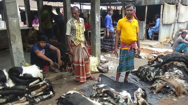 ২০ হাজারের খাসি, চামড়ার দাম ৩০ টাকা!
