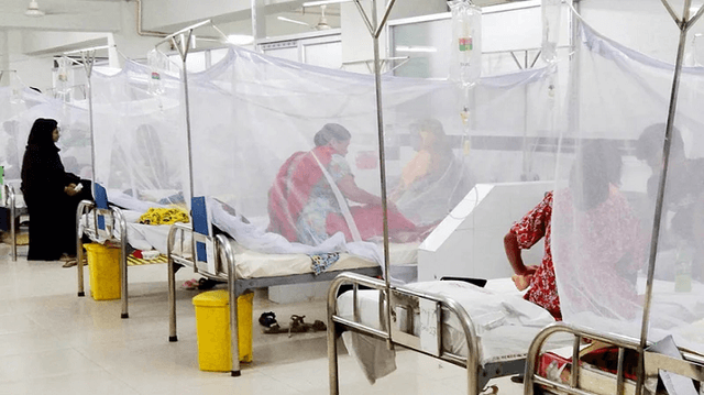 ডেঙ্গুতে আরও তিনজনের মৃত্যু, হাসপাতালে ভর্তি ৮৮৯