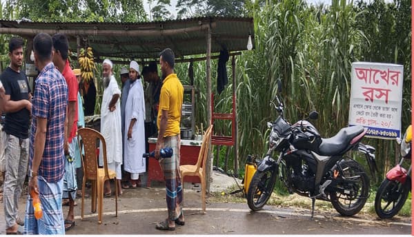 ক্ষেতের পাশেই বিক্রি, সাড়া ফেলেছে রব সরদারের আখের রস