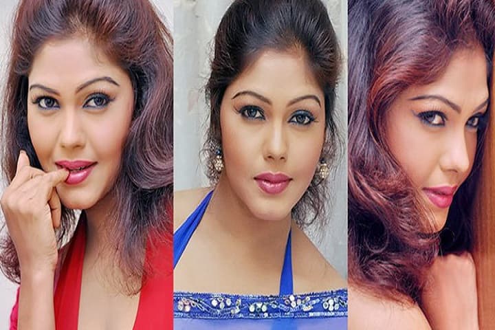 অশ্লীলতার সময় কোটি কোটি টাকা কামিয়েছে প্রযোজকরা