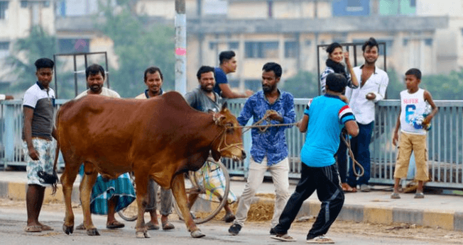 ঈদের দ্বিতীয় দিনেও চলছে পশু কোরবানি