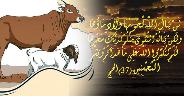 কুরবানি না দিলে কি গোনাহ হবে?