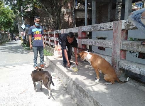 রাস্তার ক্ষুধার্ত কুকুরদের প্রতি নওগাঁর দুই বন্ধুর ভালোবাসা