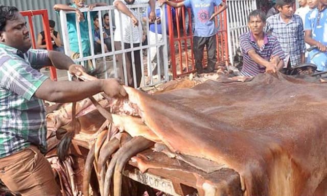 কোরবানির পশুর চামড়ার মূল্য নির্ধারণ