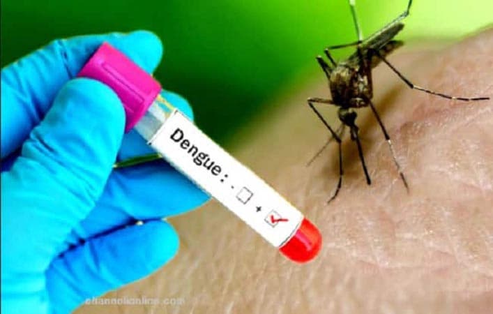 করোনার সাথে আতঙ্ক ছড়াচ্ছে ডেঙ্গু