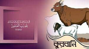 কুরবানির পশু জবাই করার নিয়ম-পদ্ধতি ও দোয়া