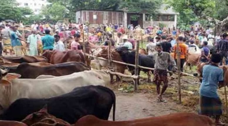 গরু রাখার জায়গা নিয়ে দুই পক্ষের সংঘর্ষ নিহত,১