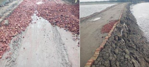 আশাশুনির হামকুড়া-গাবতলা সড়ক নির্মানে অনিয়মের অভিযোগ