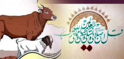 সামর্থ্য থাকলেই দিতে হবে কুরবানি