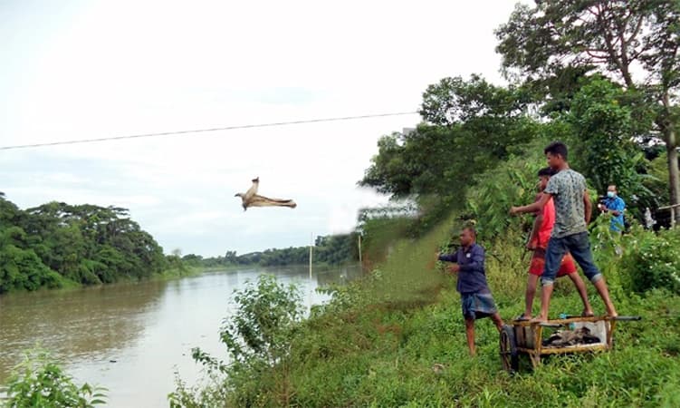 অবশেষে নদীতে ফেলা হলো কোরবানির চামড়া !