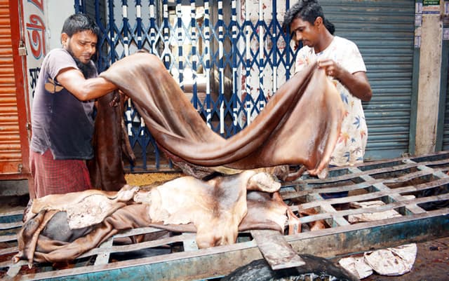 চামড়া সংগ্রহে আগ্রহ নেই বরিশালের ব্যবসায়ীদের