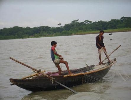 কাউখালীতে ভরা মৌসুমেও মিলছে না ইলিশ হতাশ জেলেরা
