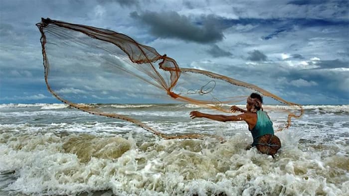 তিমি মাছের বমির দাম ২৮ কোটি টাকা! উঠল জালে