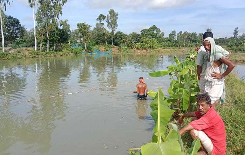 রায়গঞ্জে পুকুরে বিষ প্রয়োগ : দশ লাখ টাকার ক্ষতি