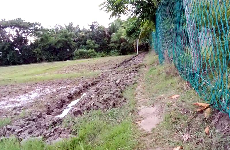 খাজুরায় রাস্তা কেটে চাষাবাদ, দূর্ভোগে মানুষ