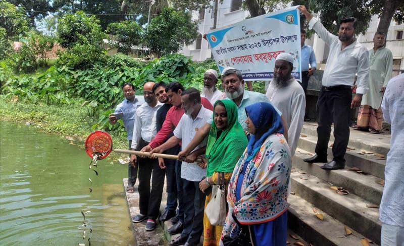 সরাইলে জাতীয় মৎস্য সপ্তাহ উপলক্ষ্যে নানা কর্মসুচি
