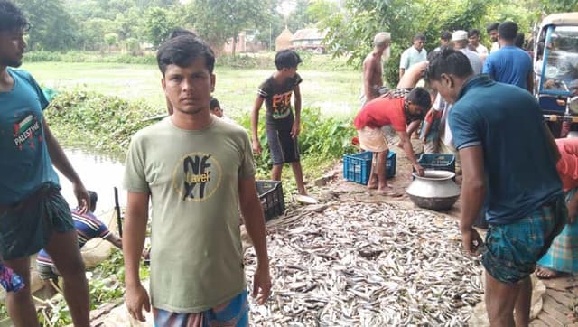সরাইলে পুকুরে বিষ দিয়ে ২২ লাখ টাকার মাছ নিধন!