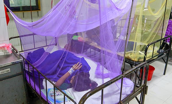 ২৪ ঘণ্টায় ডেঙ্গু আক্রান্ত ১৯৪ জন