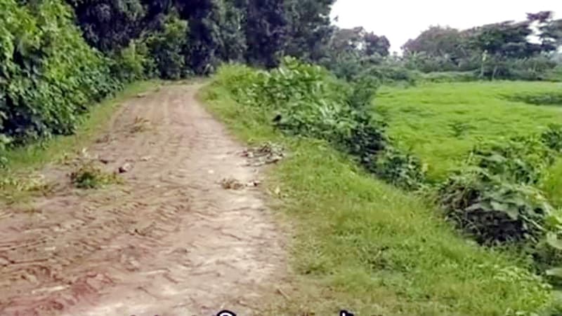 মঙ্গলপুর গ্রামে সবই আছে; নেই শুধু মানুষ !