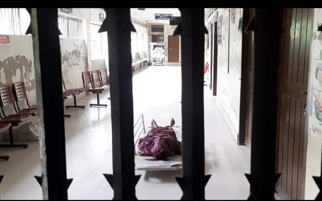 মাদারীপুরে যাত্রীবাহী বাসের ধাক্কায় নারীর মৃত্যু
