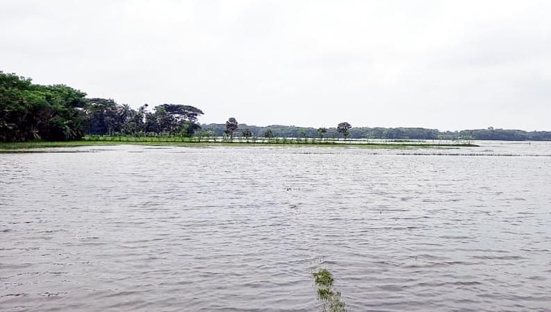 বৃষ্টি ও জোয়ারে ডুবছে কৃষকের স্বপ্ন !