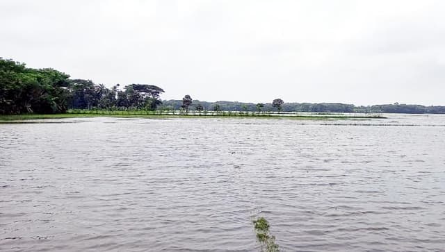 বৃষ্টি ও জোয়ারে ডুবছে কৃষকের স্বপ্ন !