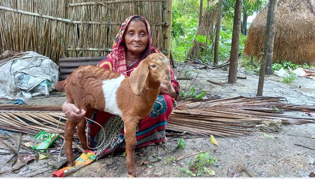 উদয়ন ম্যাটস শিক্ষার্থী ফোরামের ছাগল পেলেন বৃদ্ধা