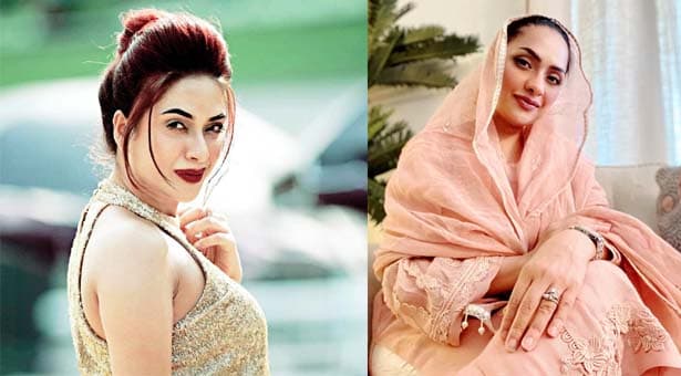 অভিনয় এবং উপস্থাপনা ছেড়ে ইসলামের পথে সেই আমব্রিন