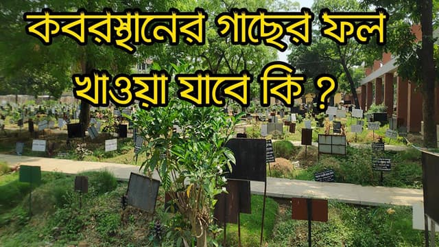 মসজিদ-কবরস্থানের গাছের ফল খাওয়া কি হালাল?