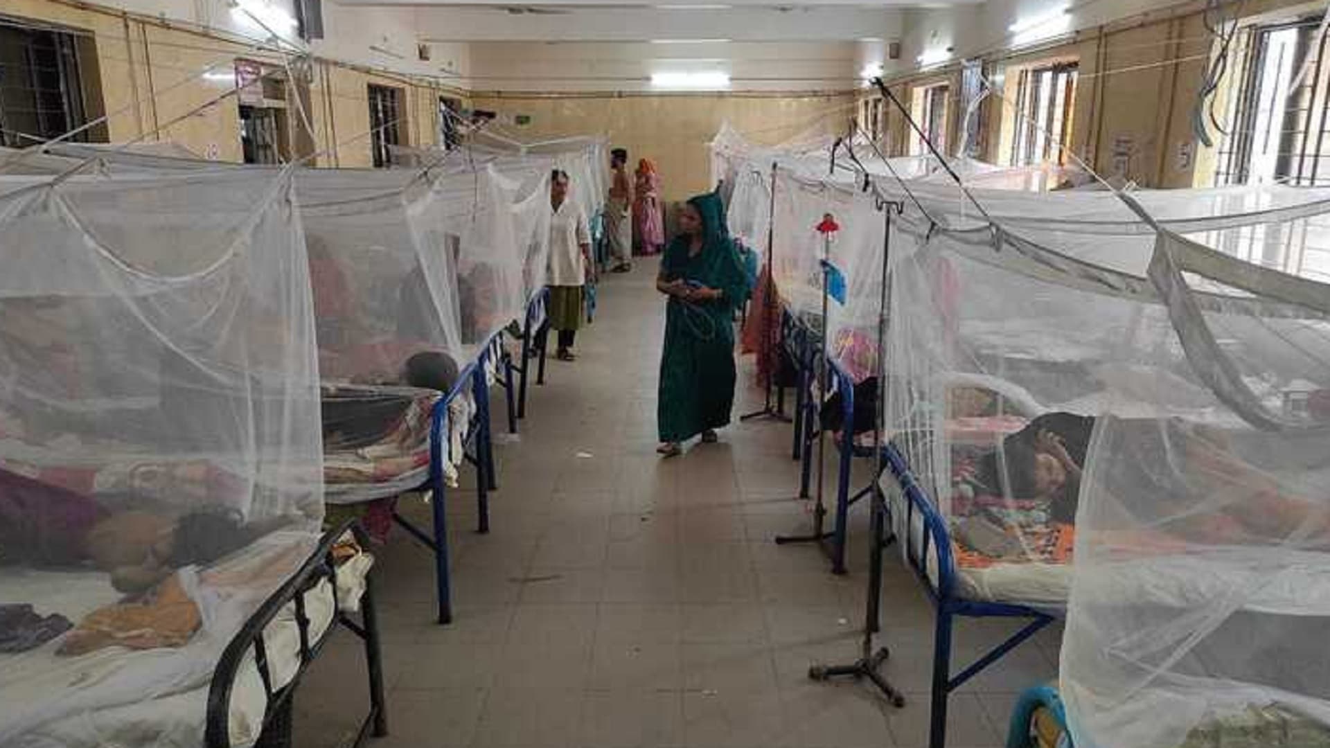 ডেঙ্গুতে আরও ১২ জনের মৃত্যু, সবাই ঢাকার