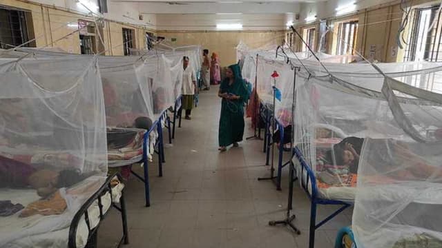 ডেঙ্গুতে আরও ১২ জনের মৃত্যু, সবাই ঢাকার