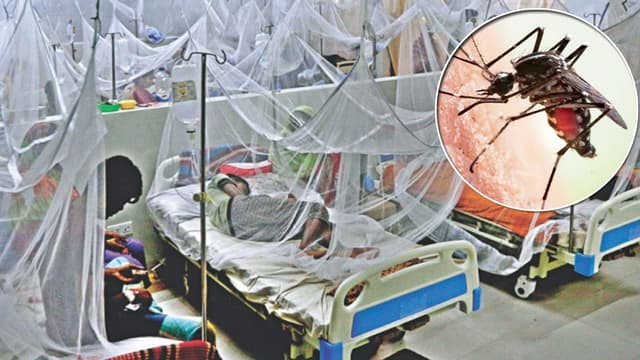 ডেঙ্গুতে ১০ জনের মৃত্যু, হাসপাতালে ভর্তি ২৫৮৯