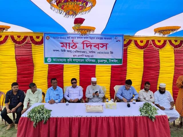 ভূঞাপুরে মিষ্টি আলুর মাঠ দিবস অনুষ্ঠিত