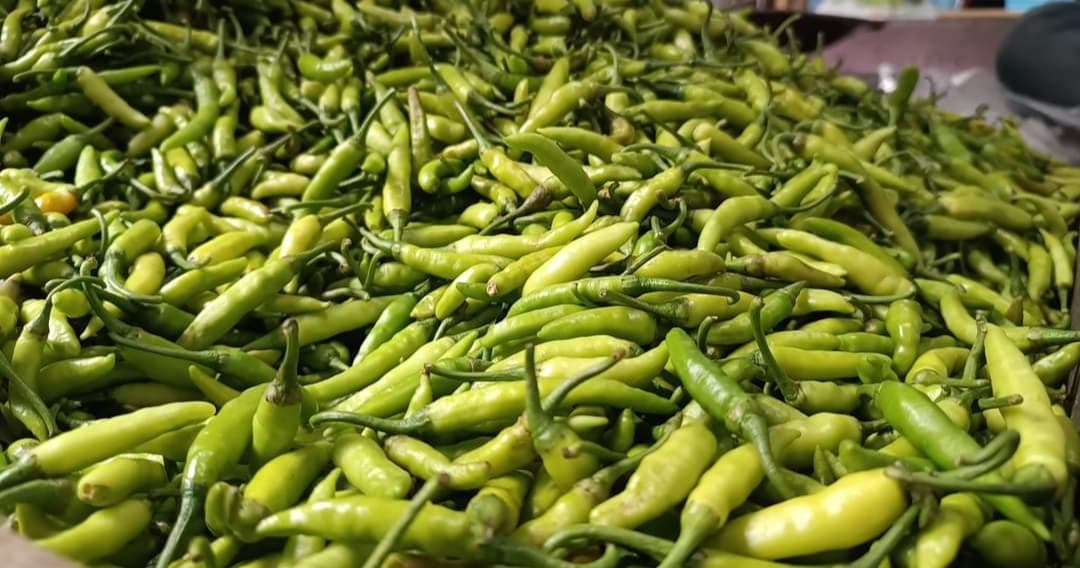 হিলি স্থলবন্দর দিয়ে এক দিনে রেকর্ড পরিমাণ কাঁচা মরিচ আমদানি