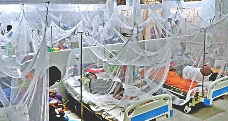 ২৪ ঘণ্টায় আরও ২১৪ ডেঙ্গু রোগী হাসপাতালে ভর্তি